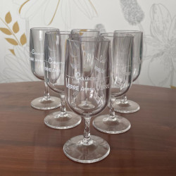 Verres à vin en plastique incassable - Lot de 6