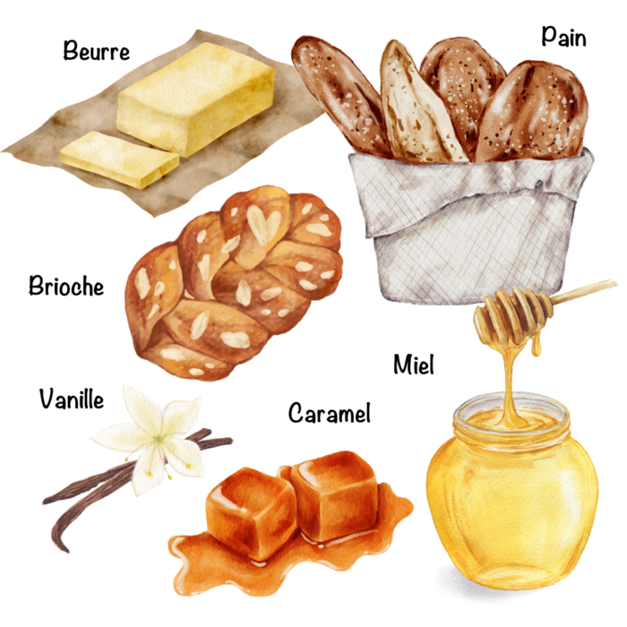 illustration des arômes secondaires du vin