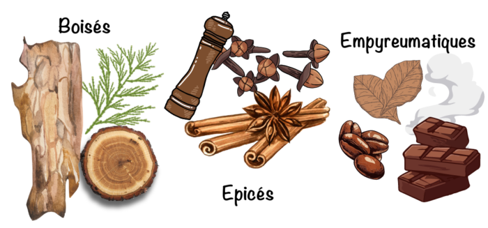 illustration des arômes tertiaires du vin