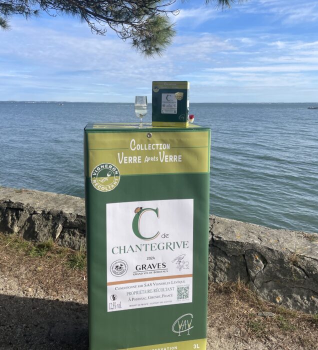 bag-in-box géant fictif, devant le bassin d'Arcachon