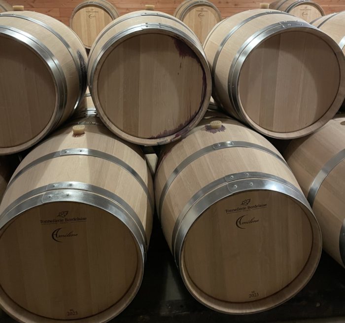 tonneau de vin dans une cave