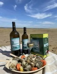 Marier le vin et les plaisirs maritimes
