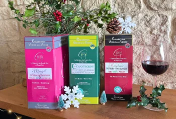 Les moments forts de 2025