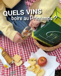Quel vin boire au printemps ?