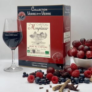 BIB BIO 3L AOC CASTILLON CÔTES DE BORDEAUX - CHÂTEAU MONPLAISIR