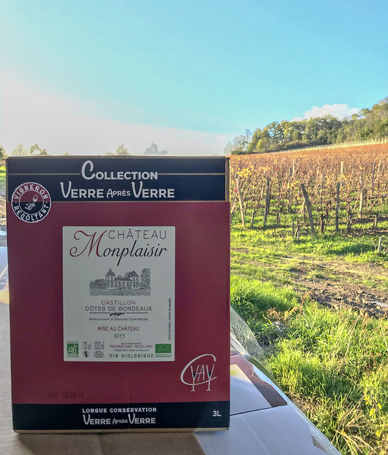 vin rouge du château Monplaisir en bag-in-box, vignes