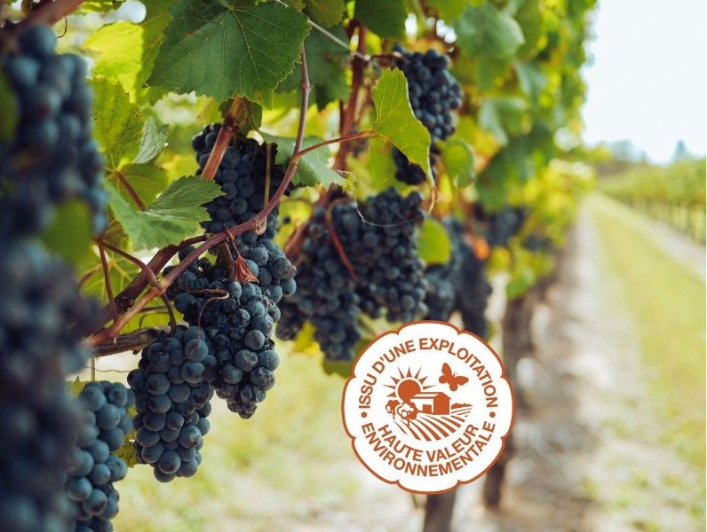 vignes, logo HVE, haute valeur environnementale