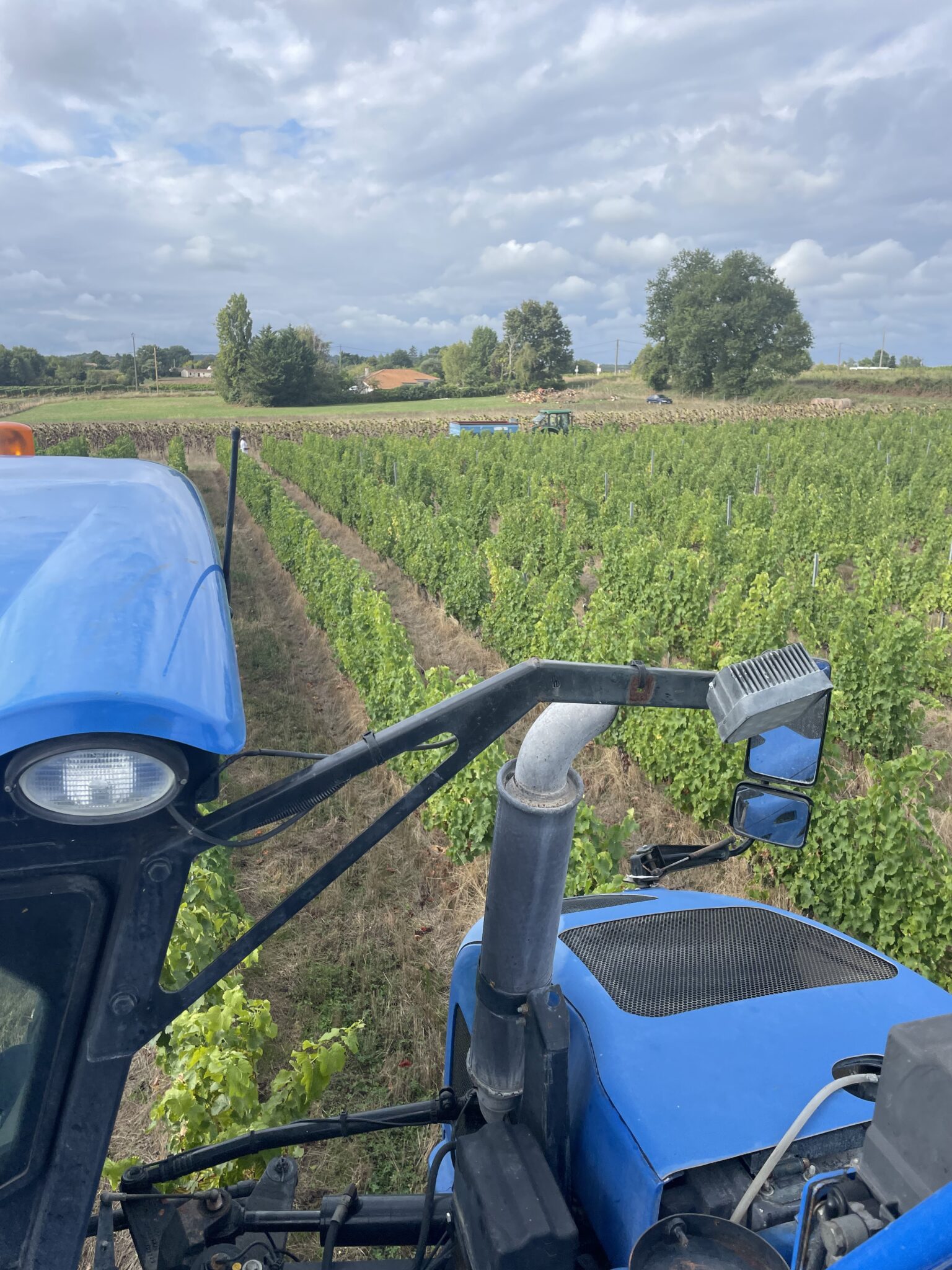 machine à vendanger dans les vignes, en entre-deux-mers, pendant les vendanges, chez un partenaires de Collection Verre Après Verre