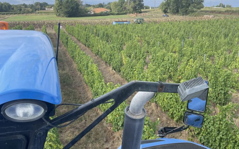 machine à vendanger dans les vignes, en entre-deux-mers, pendant les vendanges, chez un partenaires de Collection Verre Après Verre